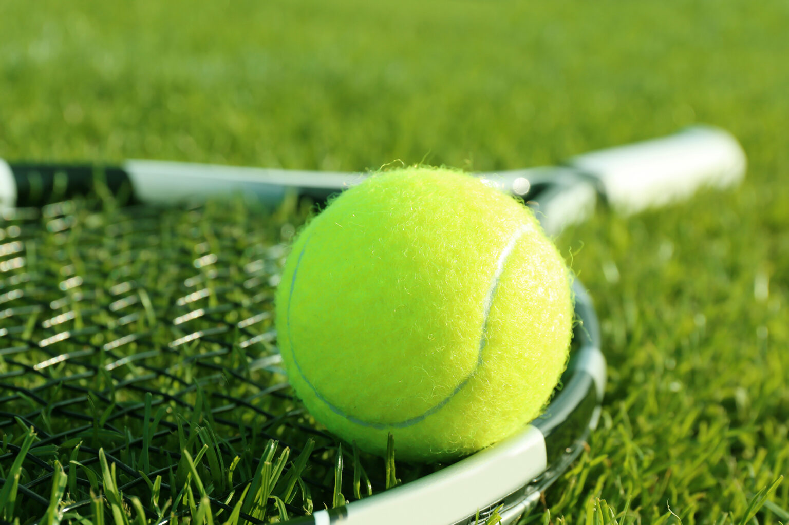 5 Type Of Tennis Balls For Different Tennis Court Surfaces Takin Sports