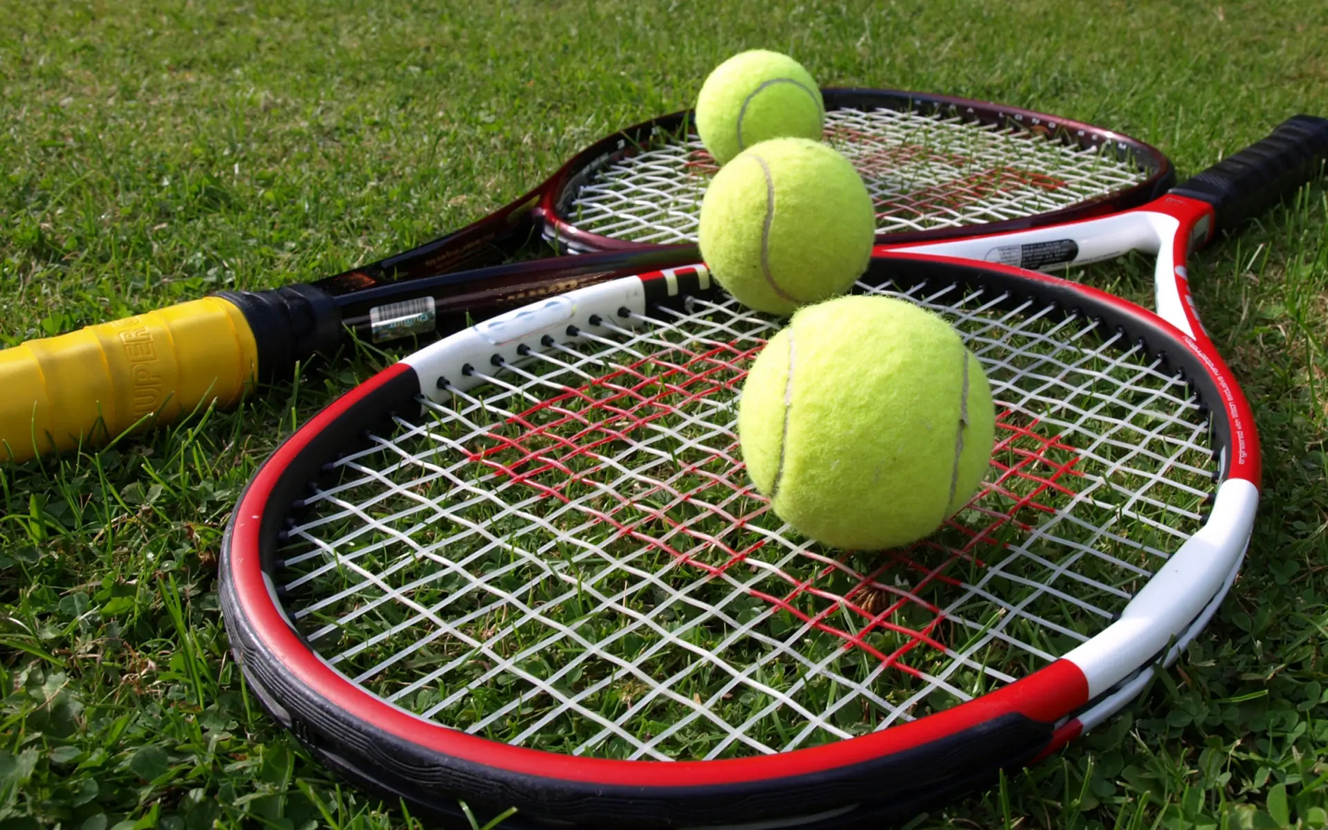 Tennis Scores Today - Live Tennis Scores - ATP and WTA Tennis Draws